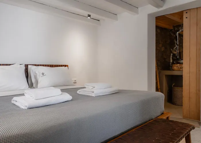 Pure Mykonos וילה *