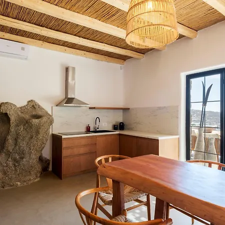 빌라 Pure Mykonos Plintri